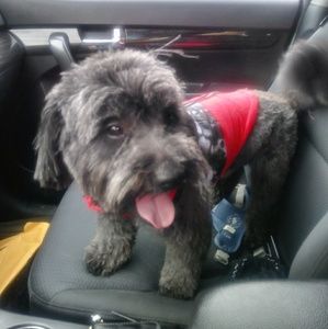 Meet your Posher, Nancy